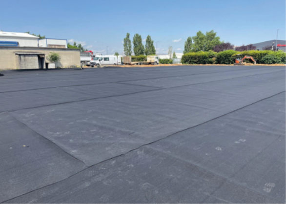 Tapis anti-végétatif non tissé