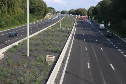 BioWeedtex géotextile de plantation anti-mauvaise herbes écologique et biodégradable