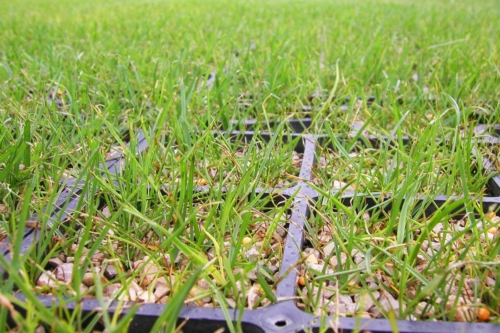 GeoDal 50 dalle en polyéthylène solide pour gazon