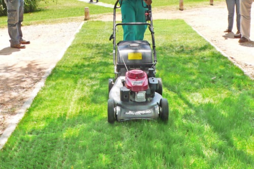 RitterDal gras is een grasplaat dat weinig onderhoud vraagt waardoor hij ideaal is voor parkings, campings, toegangwegen, enz. - MatGeco