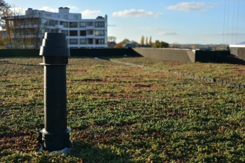 Sedum StockDrain voorgekweekte bak voor groendaken